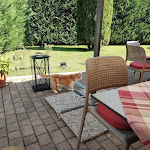 Photo n°13 de l'avis de Michael.e fait le 14/11/2023 à 12:54 sur le  la Nostra Osteria à Bogogno