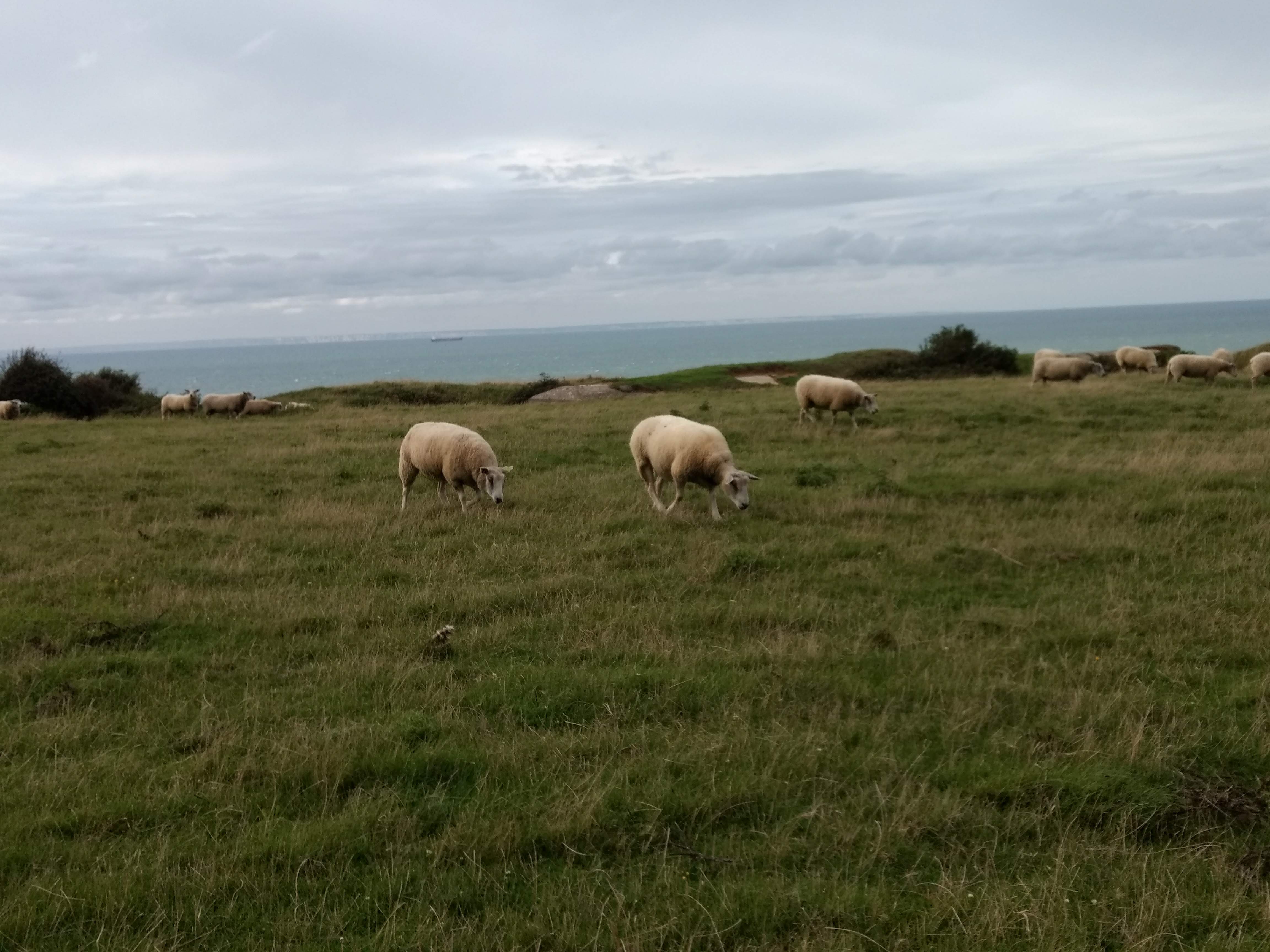 Photo n° 7 de l'avis de Dirk.e fait le 11/09/2018 à 18:23