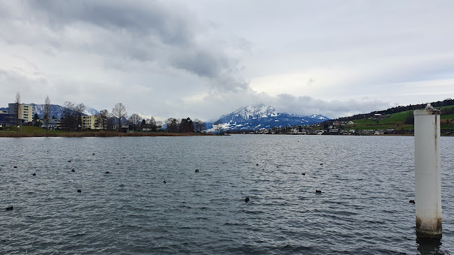 Rezensionen über Seeplatz in Küssnacht SZ - Parkhaus