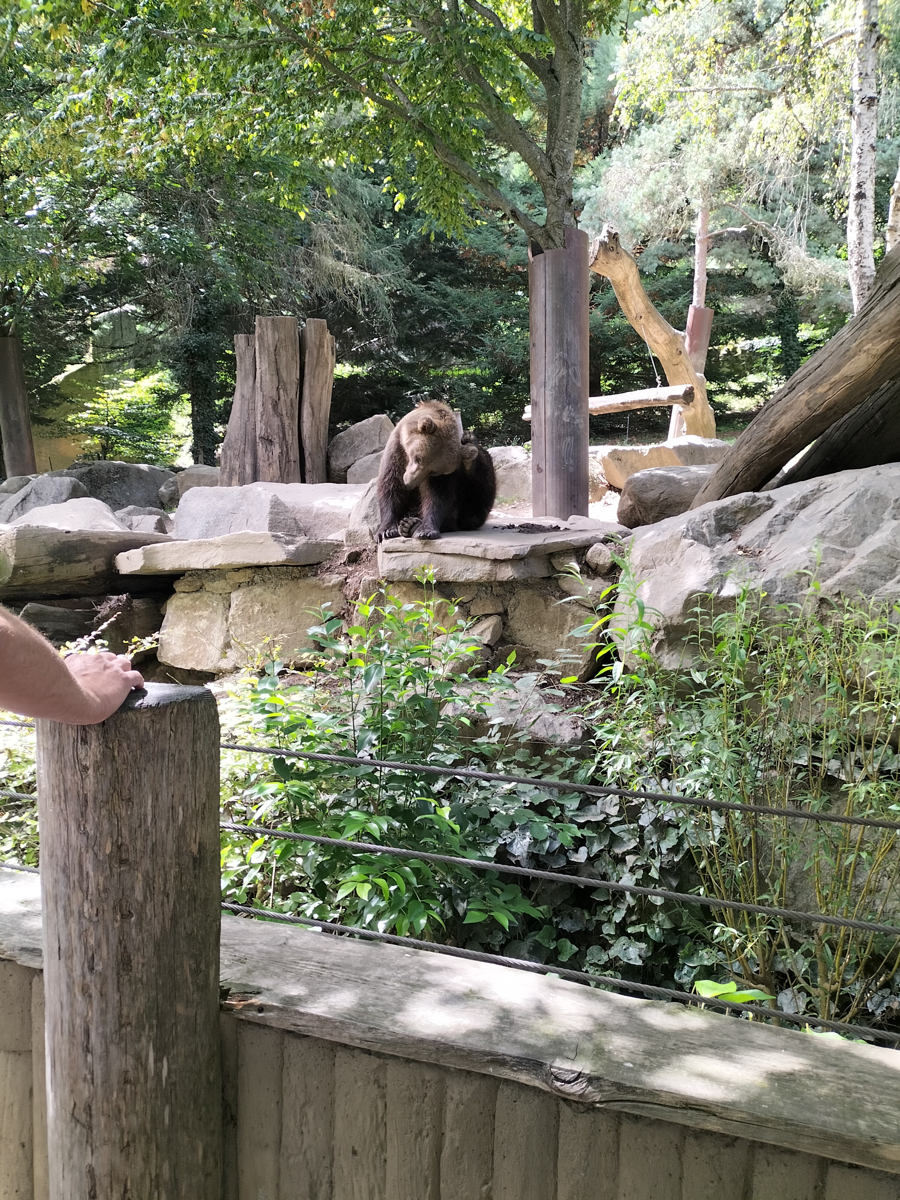 Photo n° 7 de l'avis de Alaska. fait le 26/08/2023 à 16:58