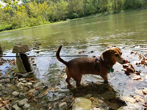 Nature Preserve «Kelley Nature Preserve», reviews and photos, 297 OH-126, Loveland, OH 45140, USA