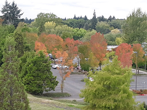 Park «Gabriel Park», reviews and photos, SW 45th Ave & Vermont Street, Portland, OR 97219, USA