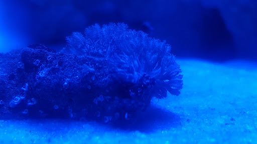 Public Golf Course «Fox Prairie Golf Course», reviews and photos, 8465 E 196th St, Noblesville, IN 46062, USA