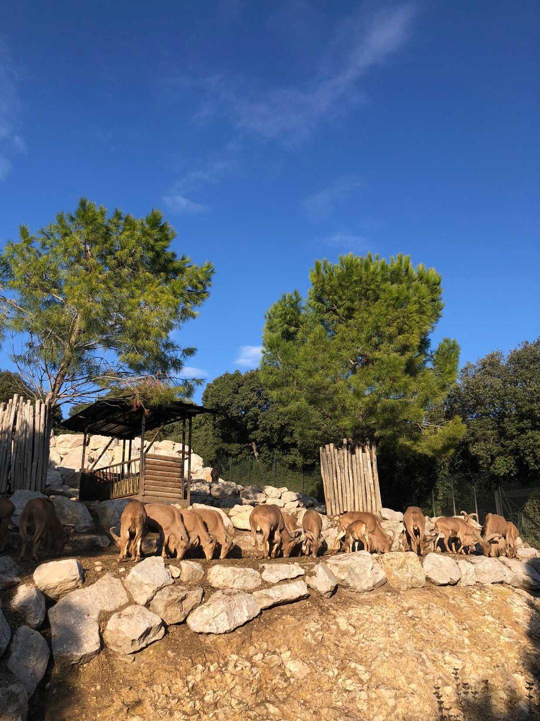 Photo n° 12 de l'avis de andre.a fait le 08/11/2021 à 14:35