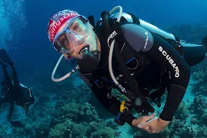 Buceo Atlantida Diving School image