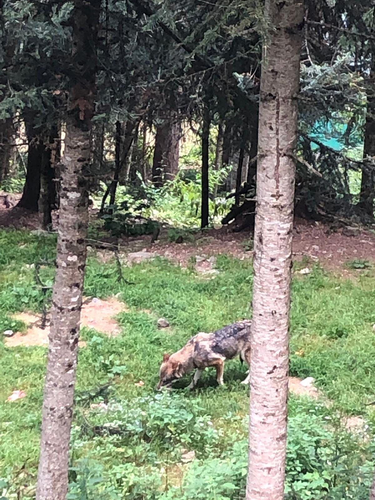 Photo n° 4 de l'avis de stephane.e fait le 20/08/2019 à 08:56