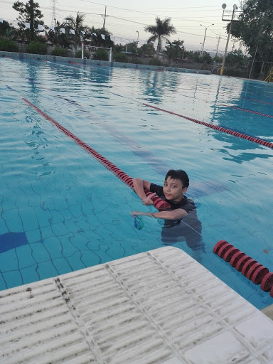 Clases natacion adultos San Pedro Sula