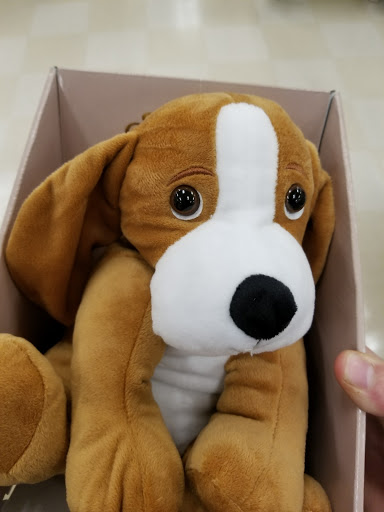 Fashion Accessories Store «Charming Charlie», reviews and photos, 8 Town Square Blvd #170, Asheville, NC 28803, USA