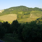 Photo n°1 de l'avis de Guido.r fait le 28/05/2017 à 09:32 sur le  Locanda Gli Ulivi à Monteveglio