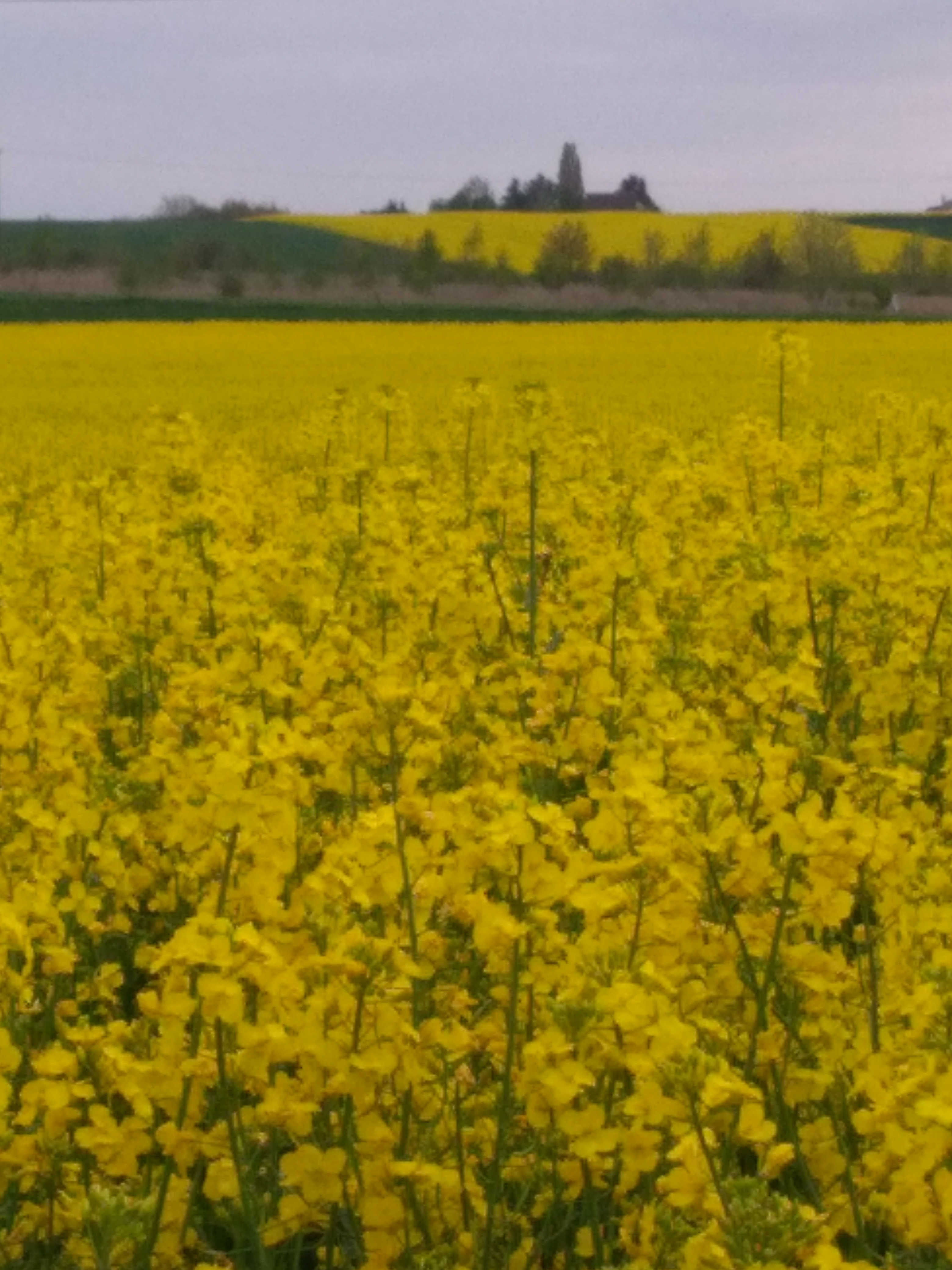 Photo n° 1 de l'avis de Beatrice.a fait le 29/04/2023 à 17:48