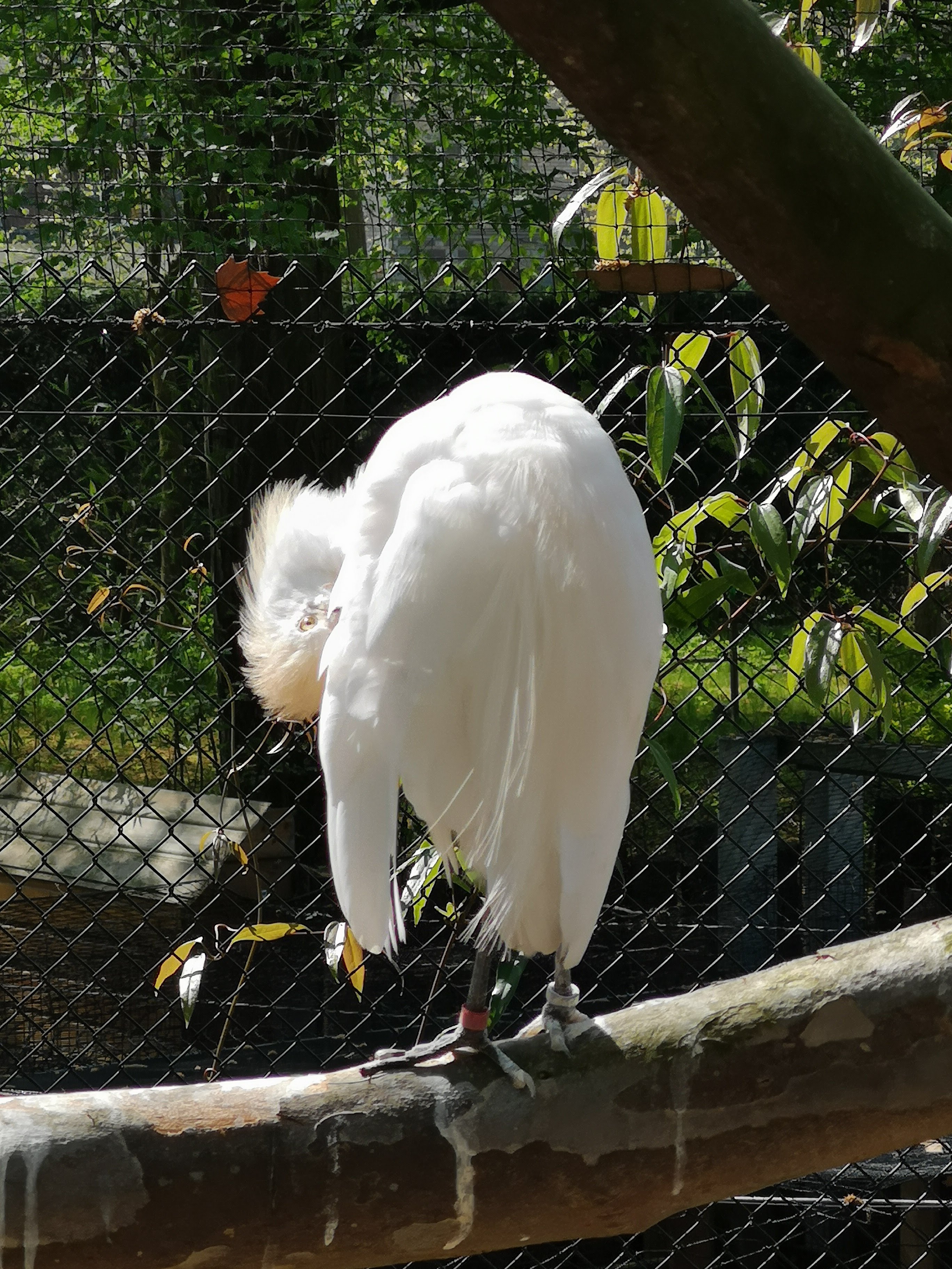 Photo n° 40 de l'avis de Bryan.r fait le 24/04/2018 à 19:19