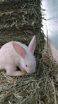 Discount Feed - Photo 4 - Car repair in Phoenix, AZ, Phoenix