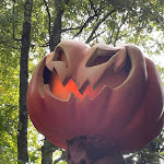 Photo n° 21 de l'avis de stephanie.e fait le 07/11/2023 à 11:54 pour Nigloland à Dolancourt