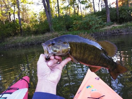 Golf Club «Flushing Valley Golf Club», reviews and photos, 1124 E Main St, Flushing, MI 48433, USA