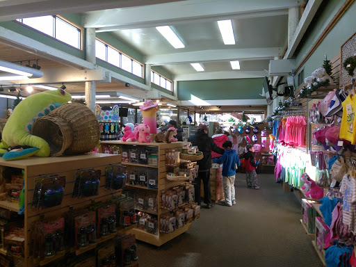 Zoo «Sacramento Zoo», reviews and photos, 3930 W Land Park Dr, Sacramento, CA 95822, USA