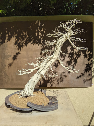 Botanical Garden «Rhododendron Species Botanical Garden», reviews and photos, 2525 S 336th St, Federal Way, WA 98003, USA