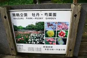 Maizuru Park Peony Garden image