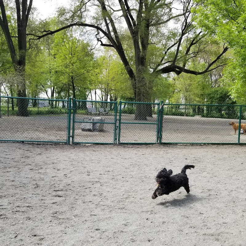 Lincoln Park Dog Run