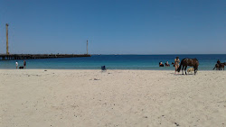 Photo de Horse Beach avec rivage droit, long