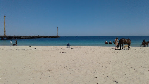 Horse Beach photo #2