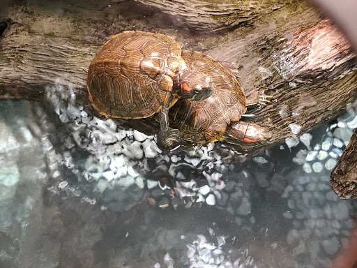 Pet Supply Store «Petco Animal Supplies», reviews and photos, 200 Center Blvd S, Christiana, DE 19702, USA