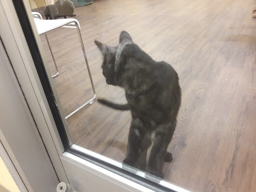 Pet Supply Store «PetPeople», reviews and photos, 3330 Washtenaw Ave, Ann Arbor, MI 48104, USA