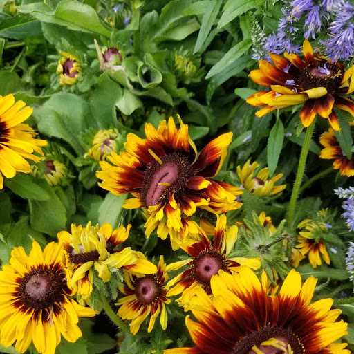 Home Improvement Store «The Home Depot», reviews and photos, 2965 Decherd Blvd, Winchester, TN 37398, USA