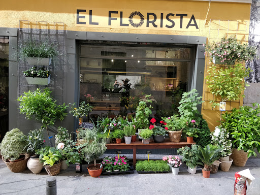 El florista