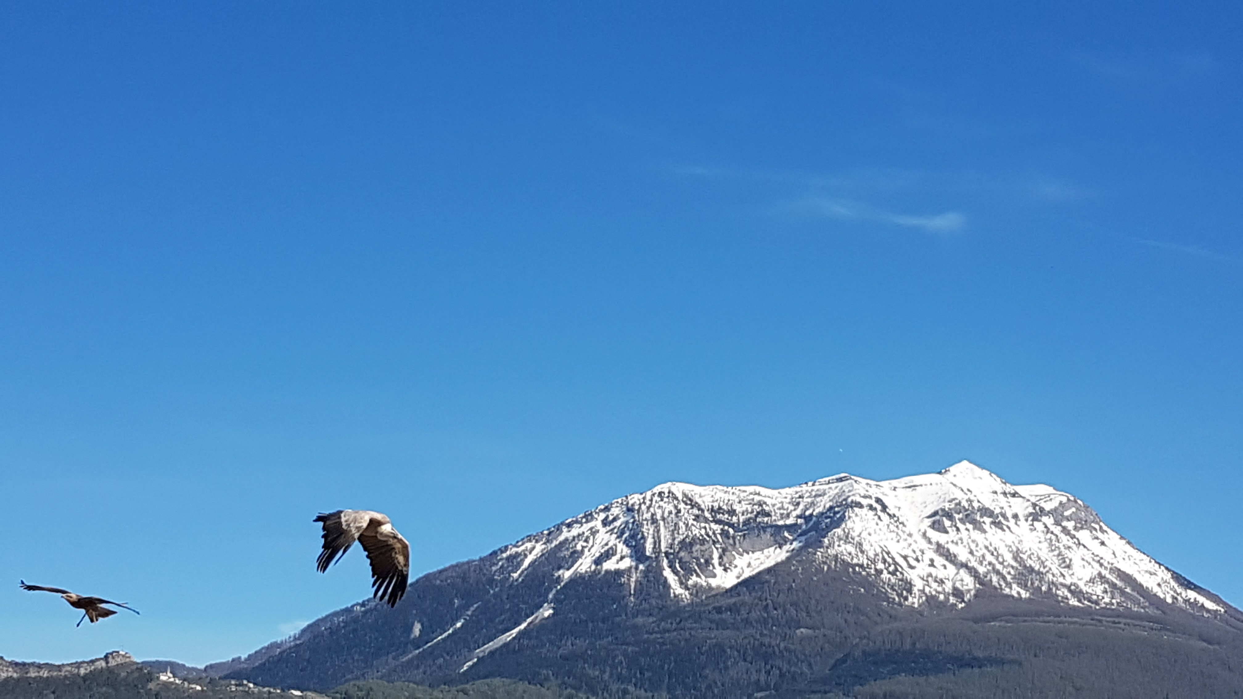 Photo n° 17 de l'avis de Maxence.o fait le 10/05/2018 à 07:26