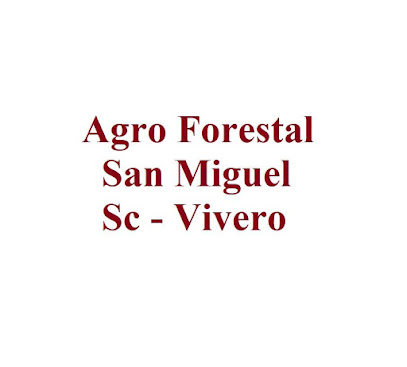 Agro Forestal San Miguel Sc - Vivero
