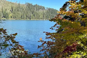 Suttle Lake image