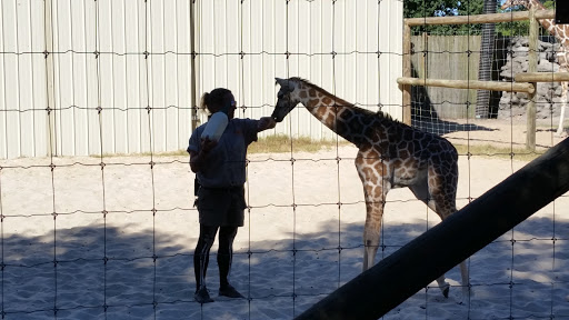 Zoo «Gulf Breeze Zoo», reviews and photos, 5701 Gulf Breeze Pkwy, Gulf Breeze, FL 32563, USA