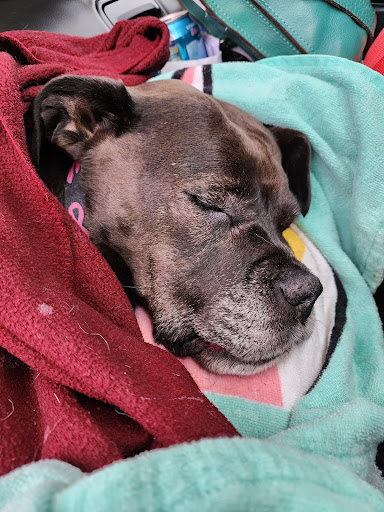 Greener Pastures Pet Crematory