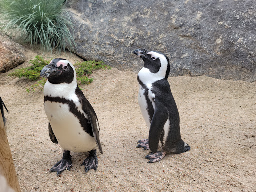 Zoo «Cheyenne Mountain Zoo», reviews and photos, 4250 Cheyenne Mountain Zoo Rd, Colorado Springs, CO 80906, USA