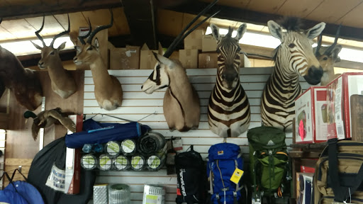 Gun Shop «Camp-Site Sport Shop Inc», reviews and photos, 1877 New York Ave, Huntington Station, NY 11746, USA