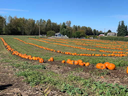 Amusement Center «Maris Farms», reviews and photos, 25001 Sumner Buckley Hwy, Buckley, WA 98321, USA