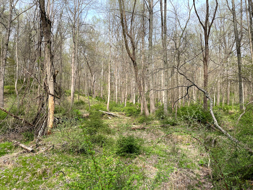 Seneca Ridge Trail at Riffle Ford Road