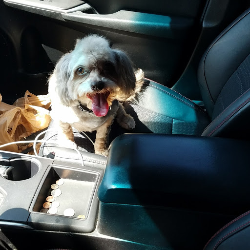 Pet Supply Store «PetSmart», reviews and photos, 11945 Central Ave, Chino, CA 91710, USA