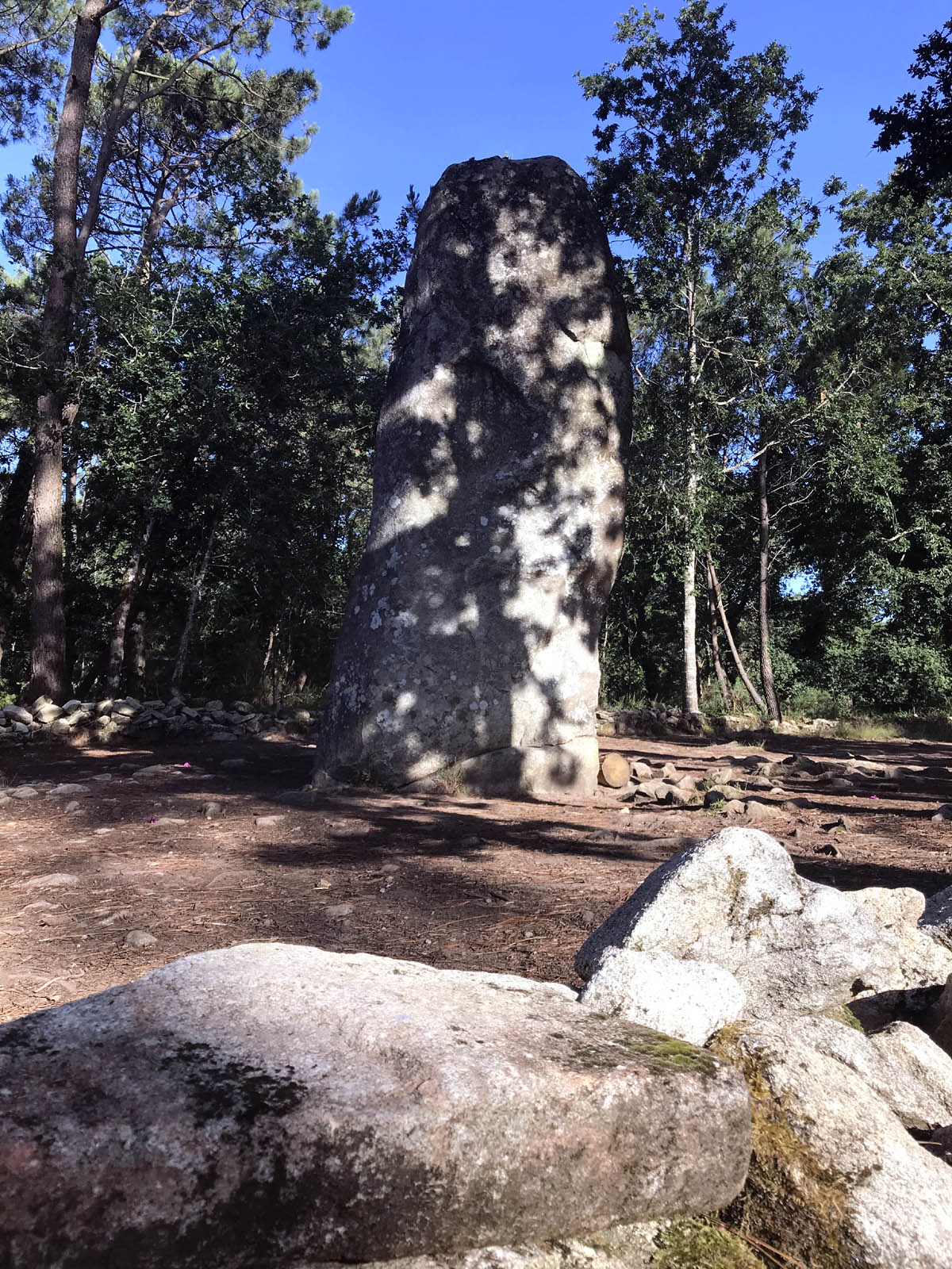 Photo n° 5 de l'avis de Sebastien.e fait le 14/07/2020 à 18:55