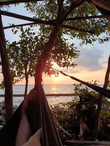 Top 20 hình vẽ cửa hàng Huyện U Minh Cà Mau 2022