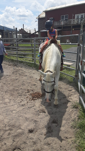Horseback Riding Service «Secret Passage Ranch», reviews and photos, 321 Spring Mountain Way, Fort Valley, VA 22652, USA