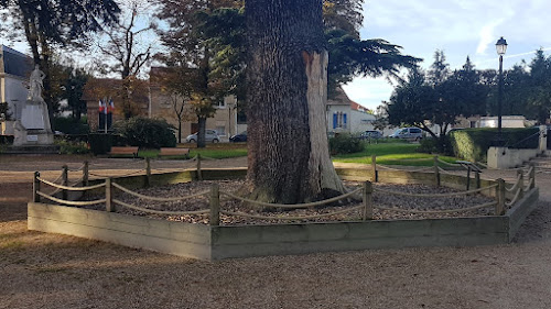 Cedre du liban à Saint-Gratien