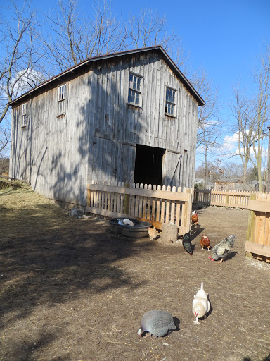 Historical Place Museum «Cobblestone Farm», reviews and photos, 2781 Packard Rd, Ann Arbor, MI 48108, USA