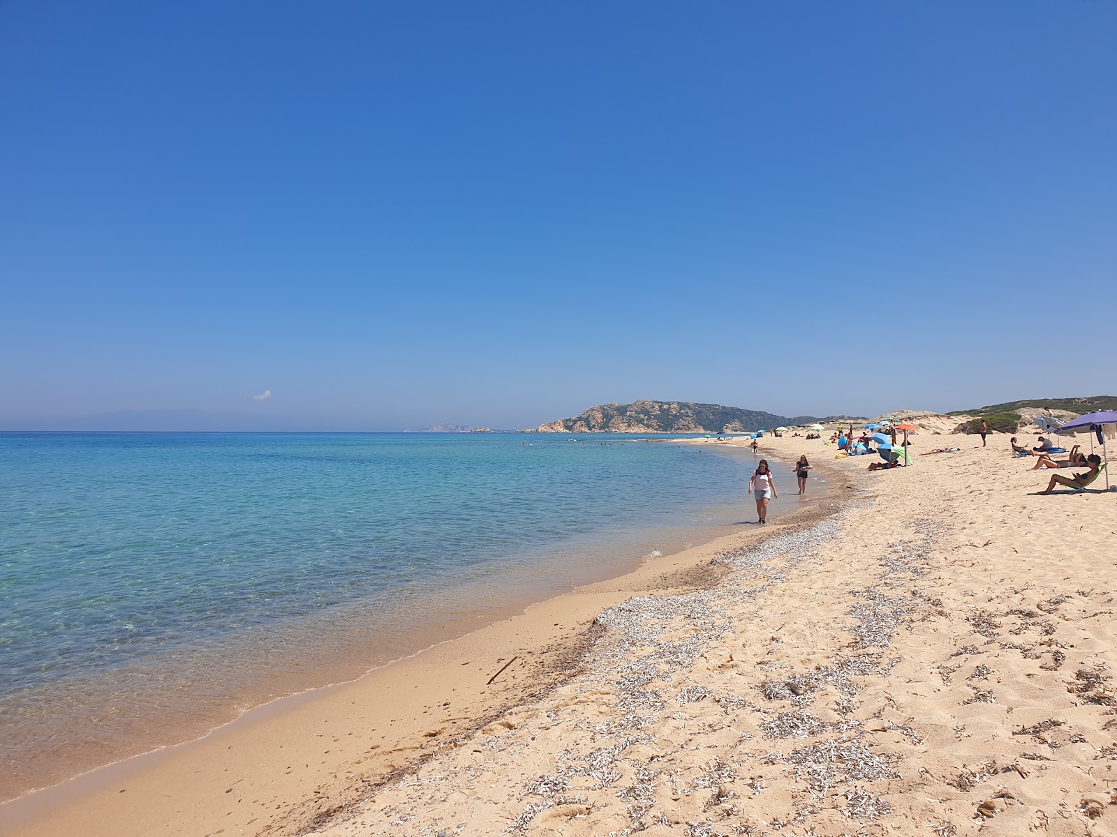 Foto di Lido Dog Beach con molto pulito livello di pulizia