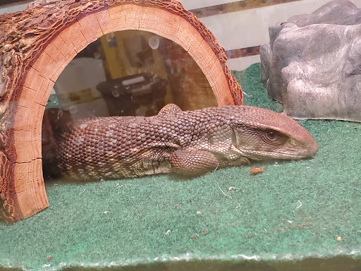 Pet Store «Critters Pet Shop», reviews and photos, Randall Rd, South Elgin, IL 60177, USA