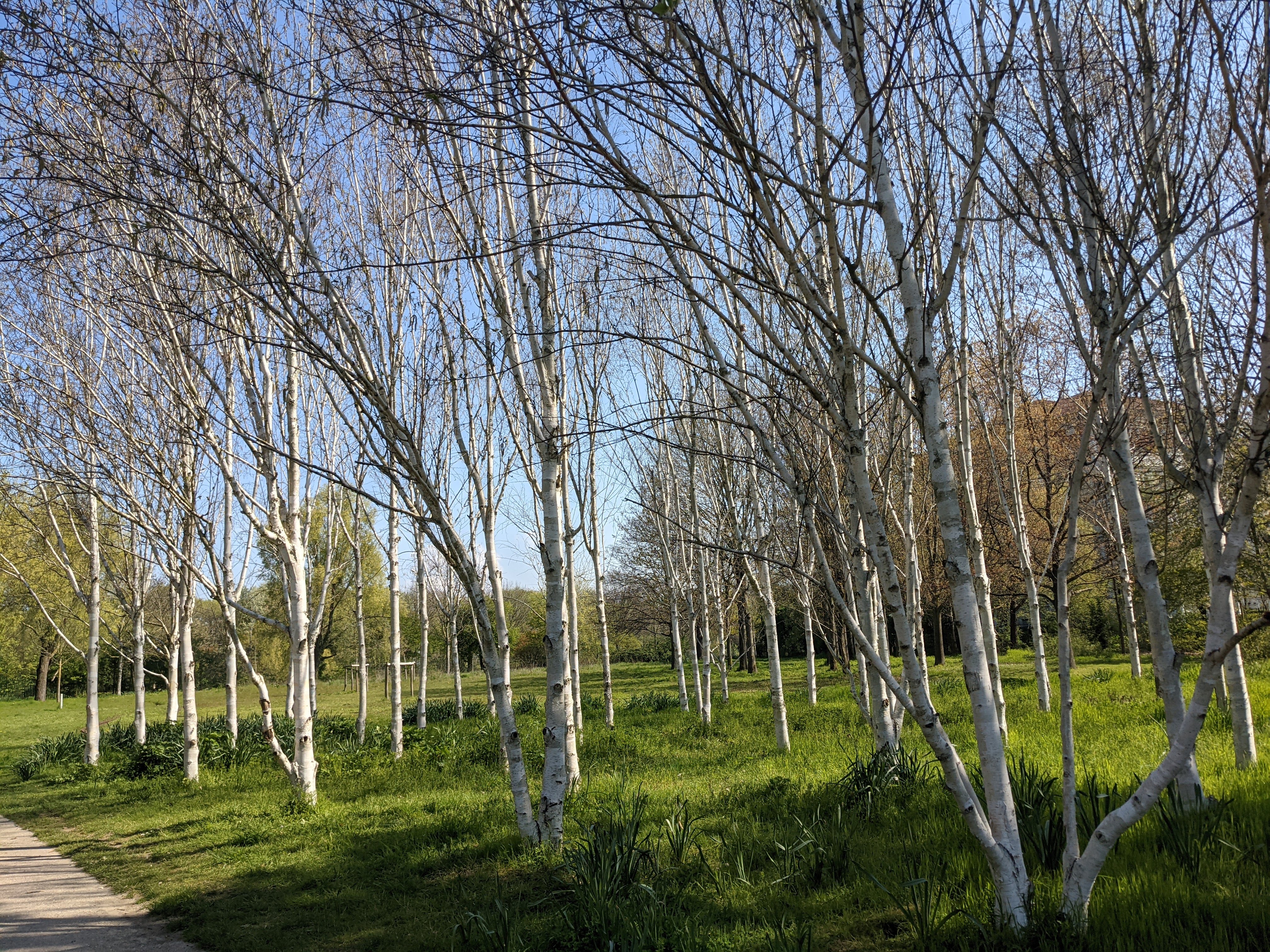 Photo n° 2 de l'avis de Béa.a fait le 28/04/2021 à 09:21
