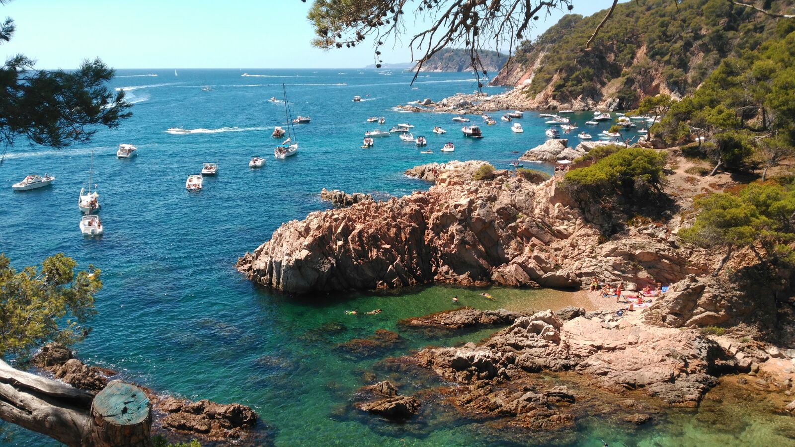 Foto di Cala dels Canyers zona selvaggia