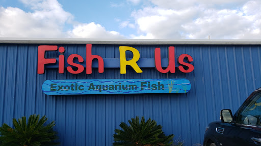 Pet Store «Fish R Us», reviews and photos, 10855 TX-242, Conroe, TX 77385, USA