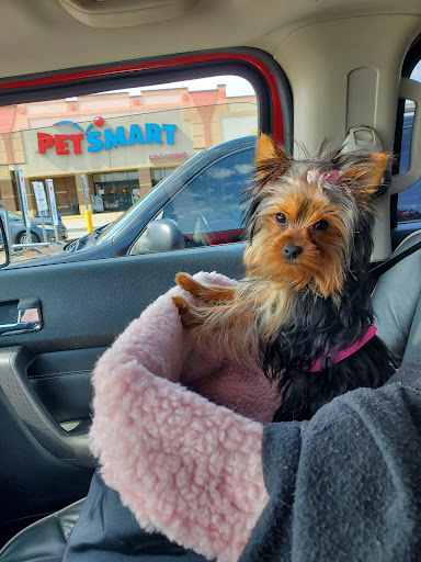 Pet Supply Store «PetSmart», reviews and photos, 4975 Cal Sag Rd, Crestwood, IL 60445, USA