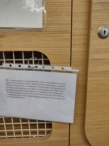 Pet Supply Store «Petco Animal Supplies», reviews and photos, 1014 Shoppes At Midway Dr, Knightdale, NC 27545, USA